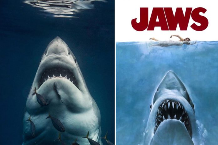 jaws lookalike combo