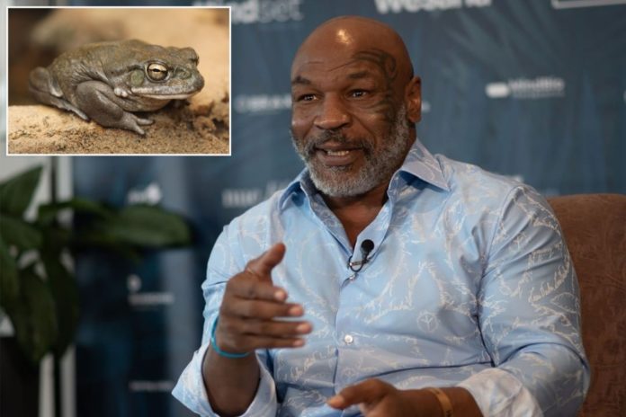 mike tyson bufo index