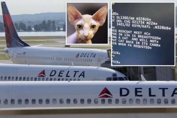 delta breasfeeding cat index