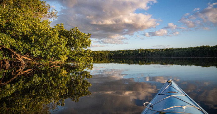 travel everglades 01b facebookJumbo