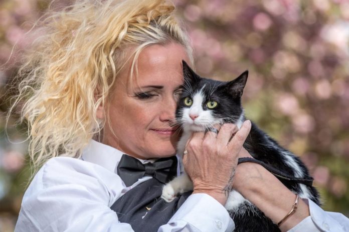 Woman marries cat2