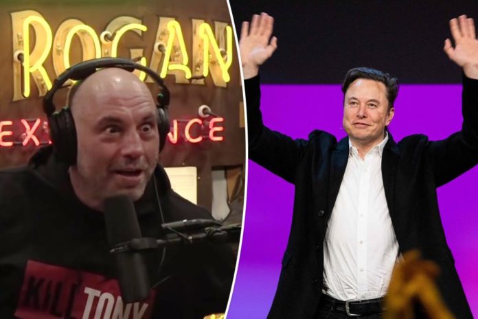 joe rogan experience elon musk twitter comp