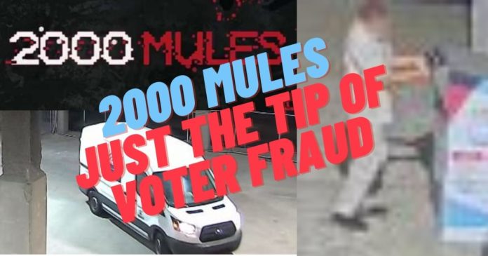 2000 Mules Just the tip of voter fraud