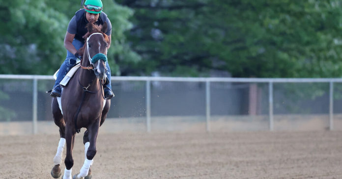 21preakness watch facebookJumbo