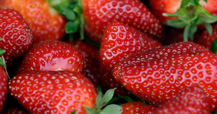 31strawberries1 facebookJumbo