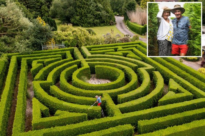 back garden maze comp 1