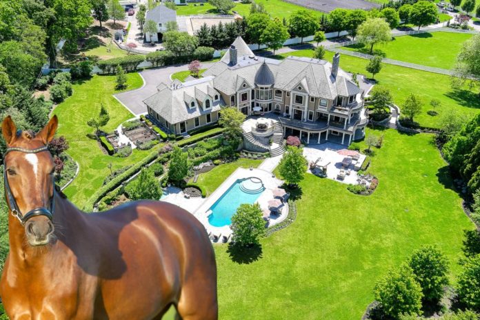 long island equestrian estate champions listed comp 2