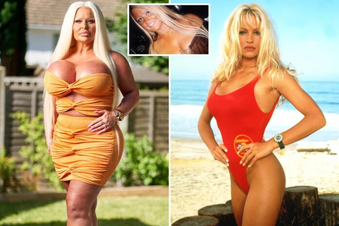 pamela anderson lookalike comp 1