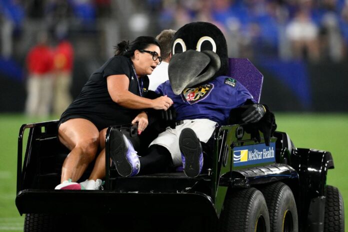 Ravens Mascot 2