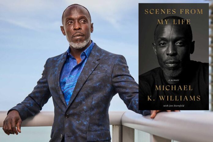 michael k williams book