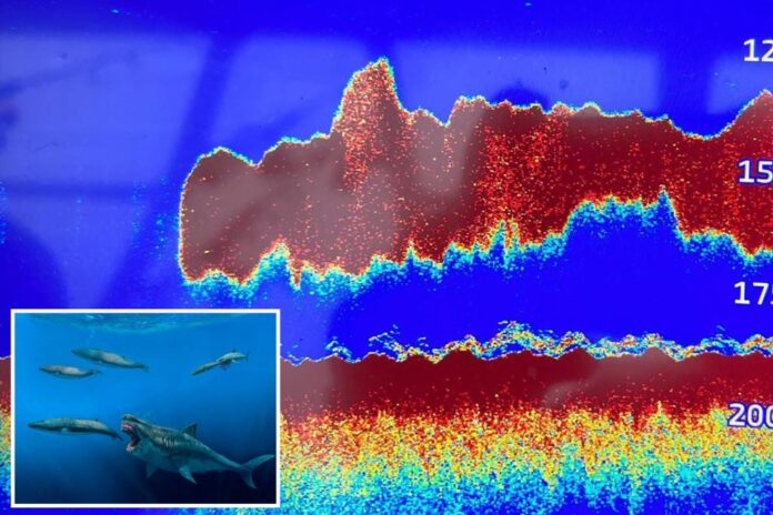 megalodon detected atlantic ocean comp 1