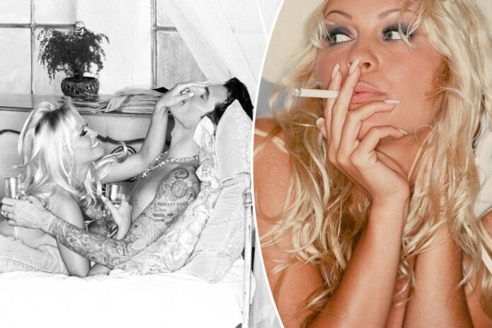 pamela anderson tommy lee wayda comp