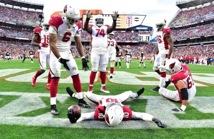 arizona cardinals team celebration