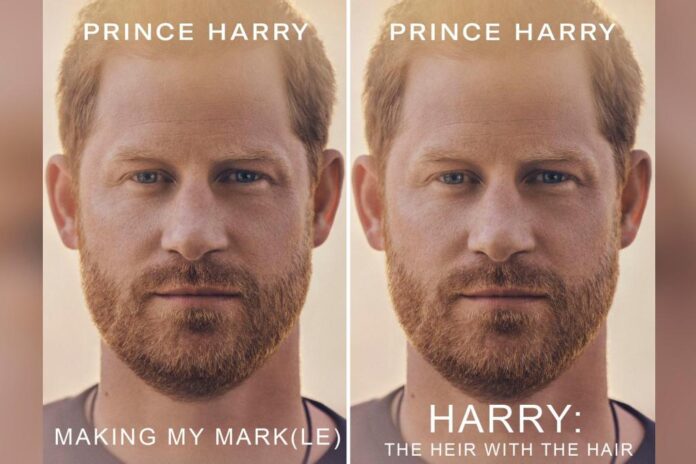 prince harry alternative spare titles 5