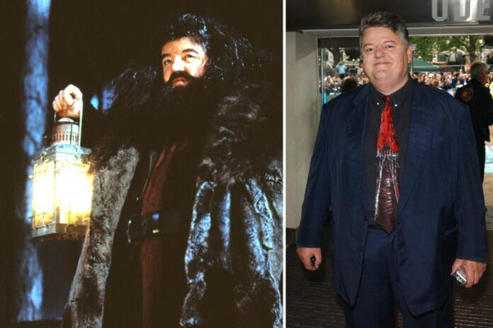 robbie coltrane comp