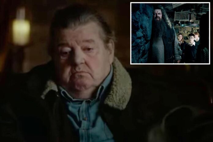 robbie coltrane hagrid harry potter comp 1 1