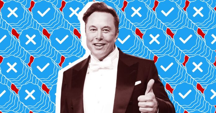 VRG Illo STK022 K Radtke Musk Verified