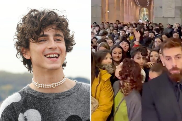 fans overrun red carpet for timothee chalamet movie homepage