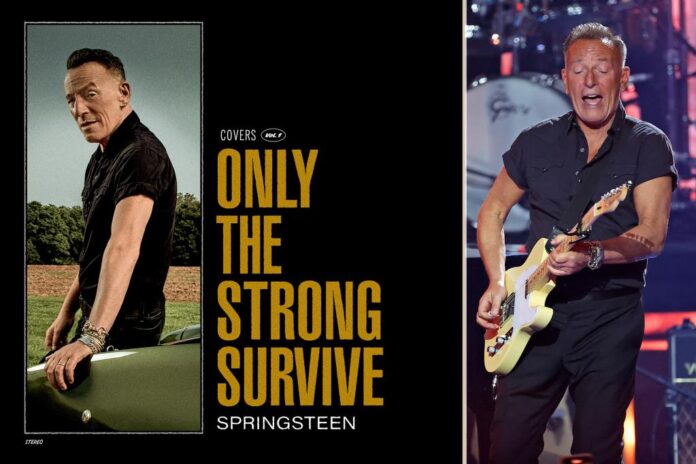 springsteen album comp