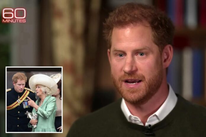 camilla duchess cornwall prince harry 60 minutes interview