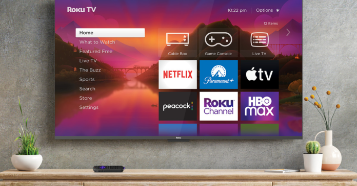 Roku TV Lifestyle