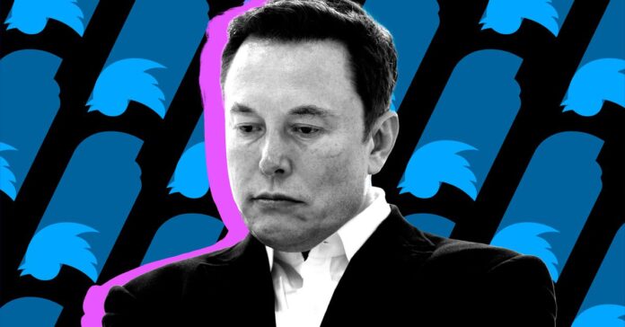 STK171 VRG Illo 1 Normand ElonMusk 001