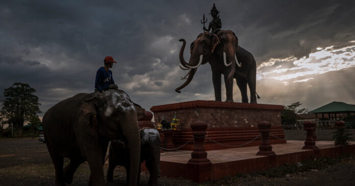 00thailand elephant dispatch 01 zchl facebookJumbo