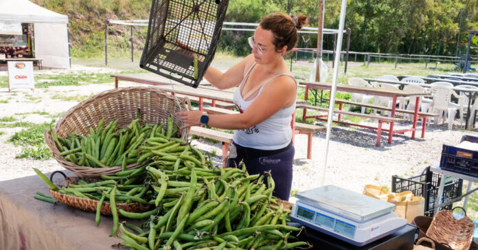 00italy fava dispatch sub 2 qvlb facebookJumbo