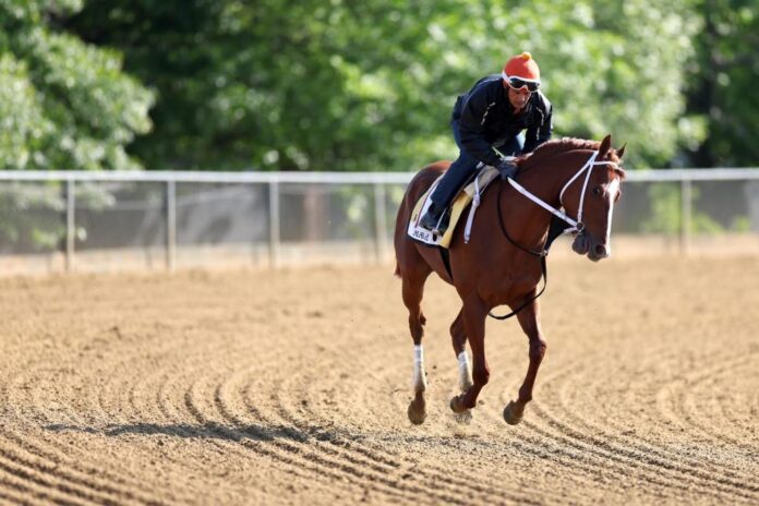 Kentucky Derby winner Mage e1684447414831