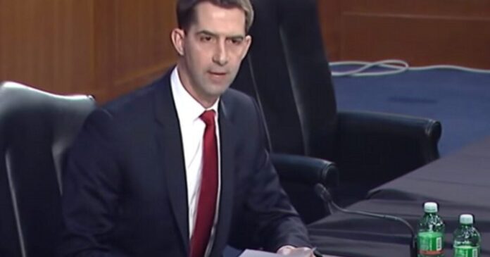 Tom Cotton 2021 1200x630