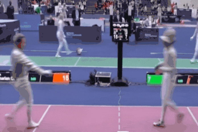 fencing GIF