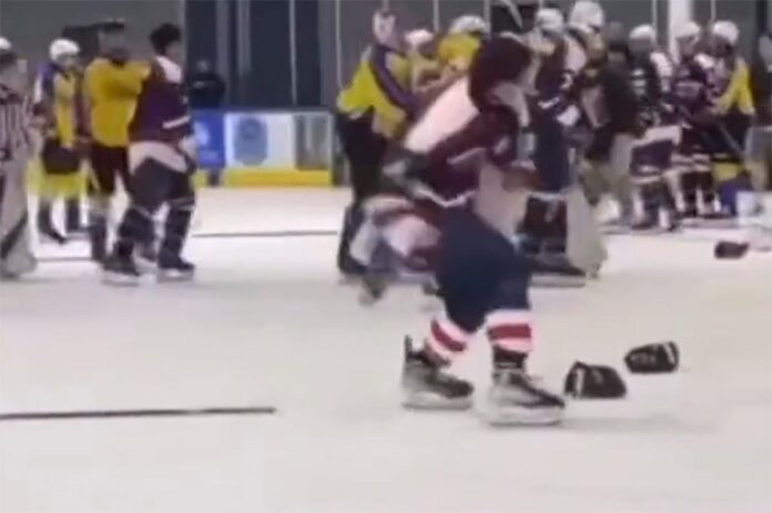 hockey fight