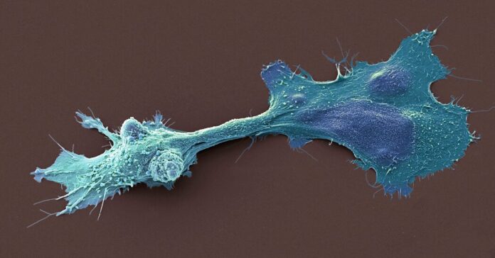 00SCI cancer microbes facebookJumbo