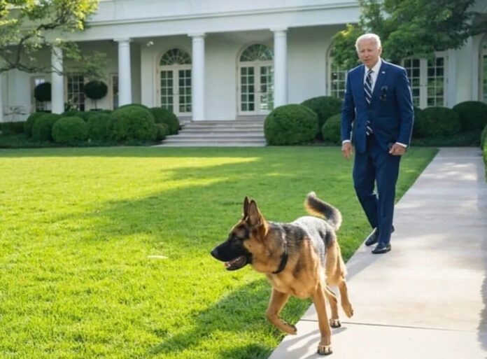 Joe Biden and Commander Undated White House Photo via Instagram