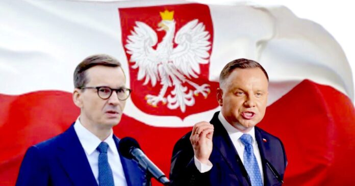 Poland Polls 1200x630