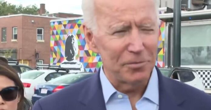 biden lost new hampshire 1200x630