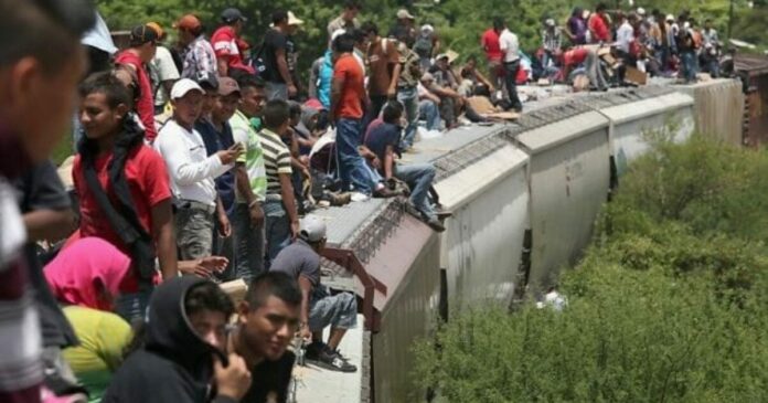 illegal immigrants 1200x630