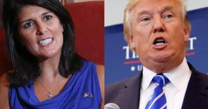 trump haley 1200x630