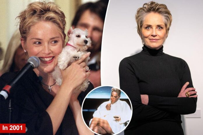 actress sharon stone stands among 85216377