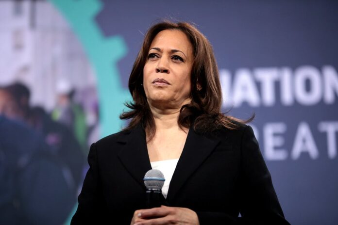 kamala harris 1 1