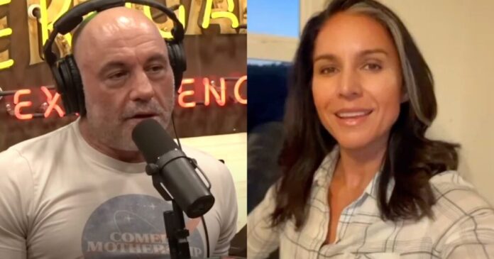 joe rogan tulsi gabbard 1200x630