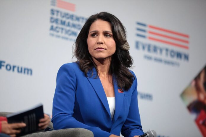 tulsi gabbard