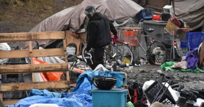 homeless camps seattle neal mcnamara 1534950464 8886 1200x630