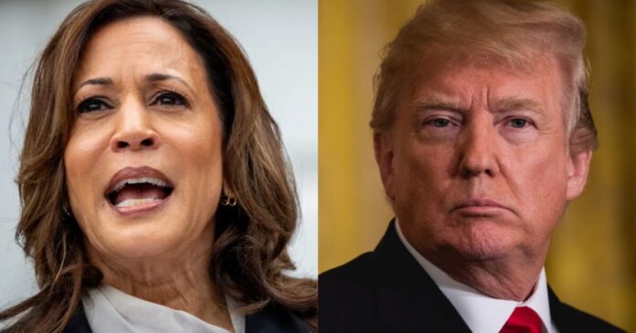 trump kamala 1200x630